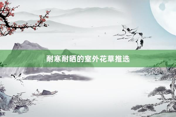 耐寒耐晒的室外花草推选