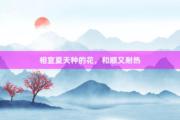 相宜夏天种的花，和顺又耐热