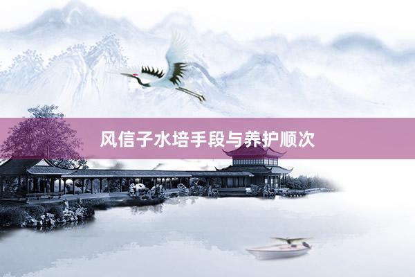 风信子水培手段与养护顺次